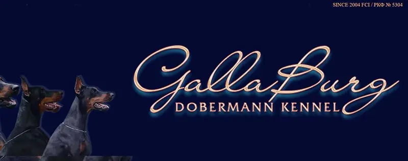 Gallaburg / Галлабург (Питомник Доберман)