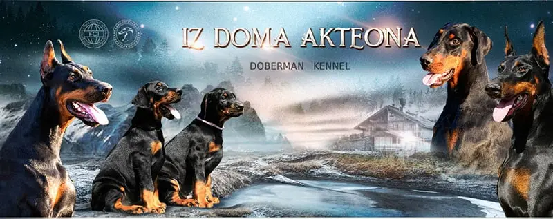 Iz Doma Akteona / Из дома Актеона (Питомник Доберман)