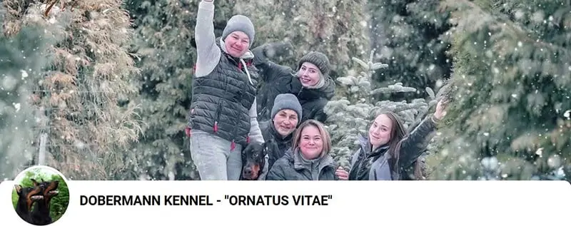 Ornatus Vitae / Орнатус Витэ (Питомник Доберман)