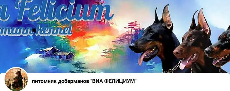 Via Felicium / Виа Фелициум (Питомник Доберман)