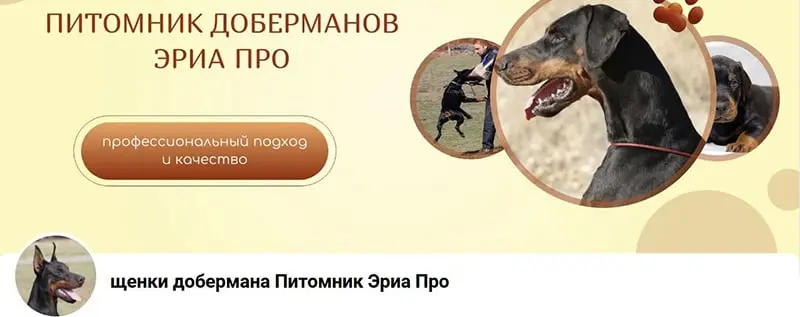 Eria Pro / Эриа Про (Питомник Доберман)