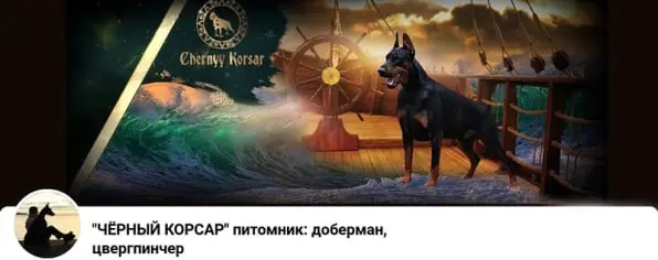 Chernyy Korsar / Чёрный Корсар (Питомник Доберман)